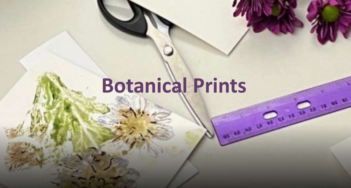 Image of botanical prints on cardstock. 